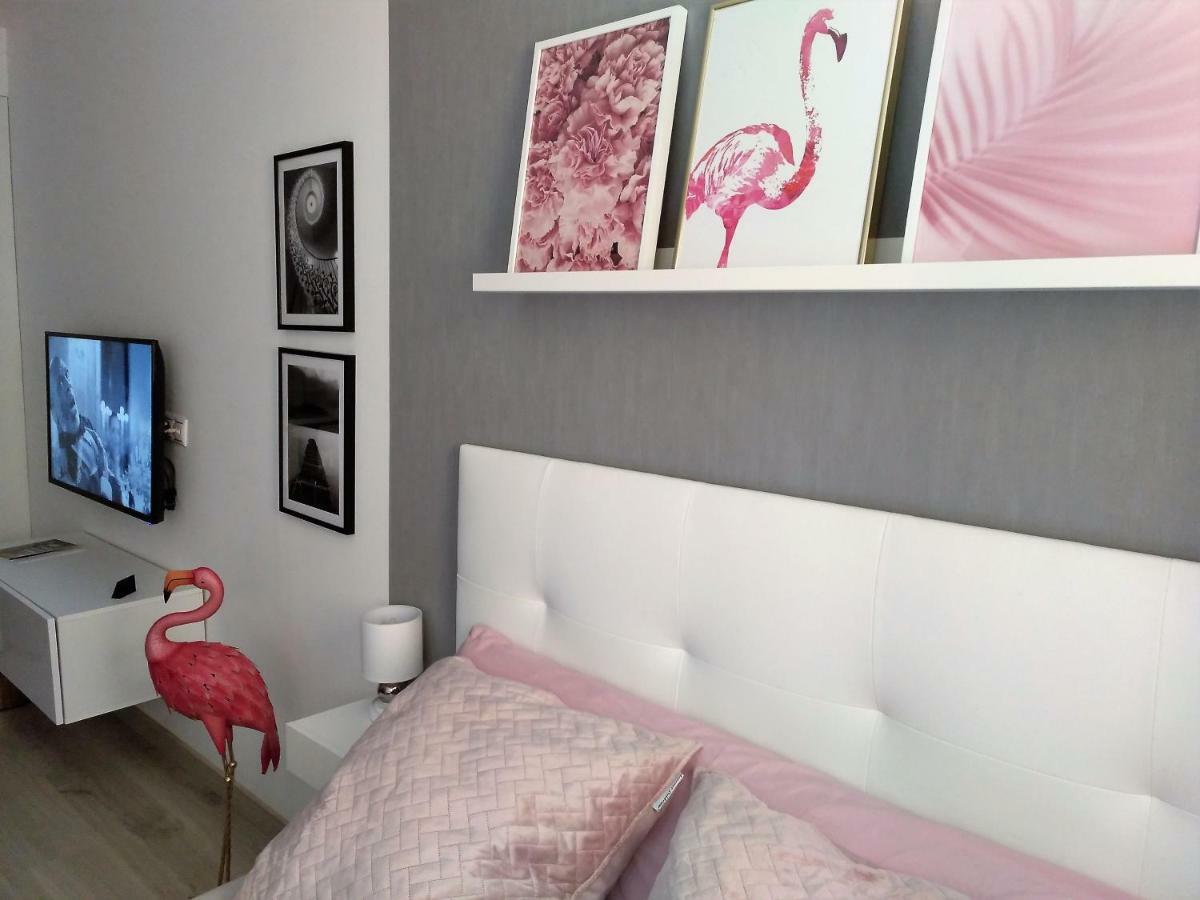 Estudio Alicante Centro エクステリア 写真